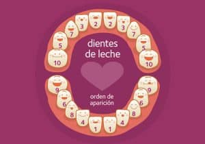 Dientes de Leche